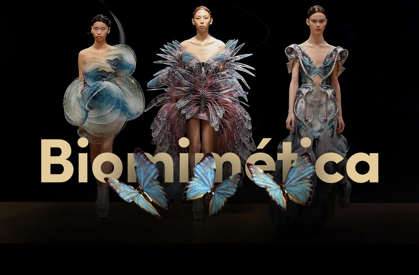 O que é Biomimética e sua aplicação no Design – leonardosanttos.com