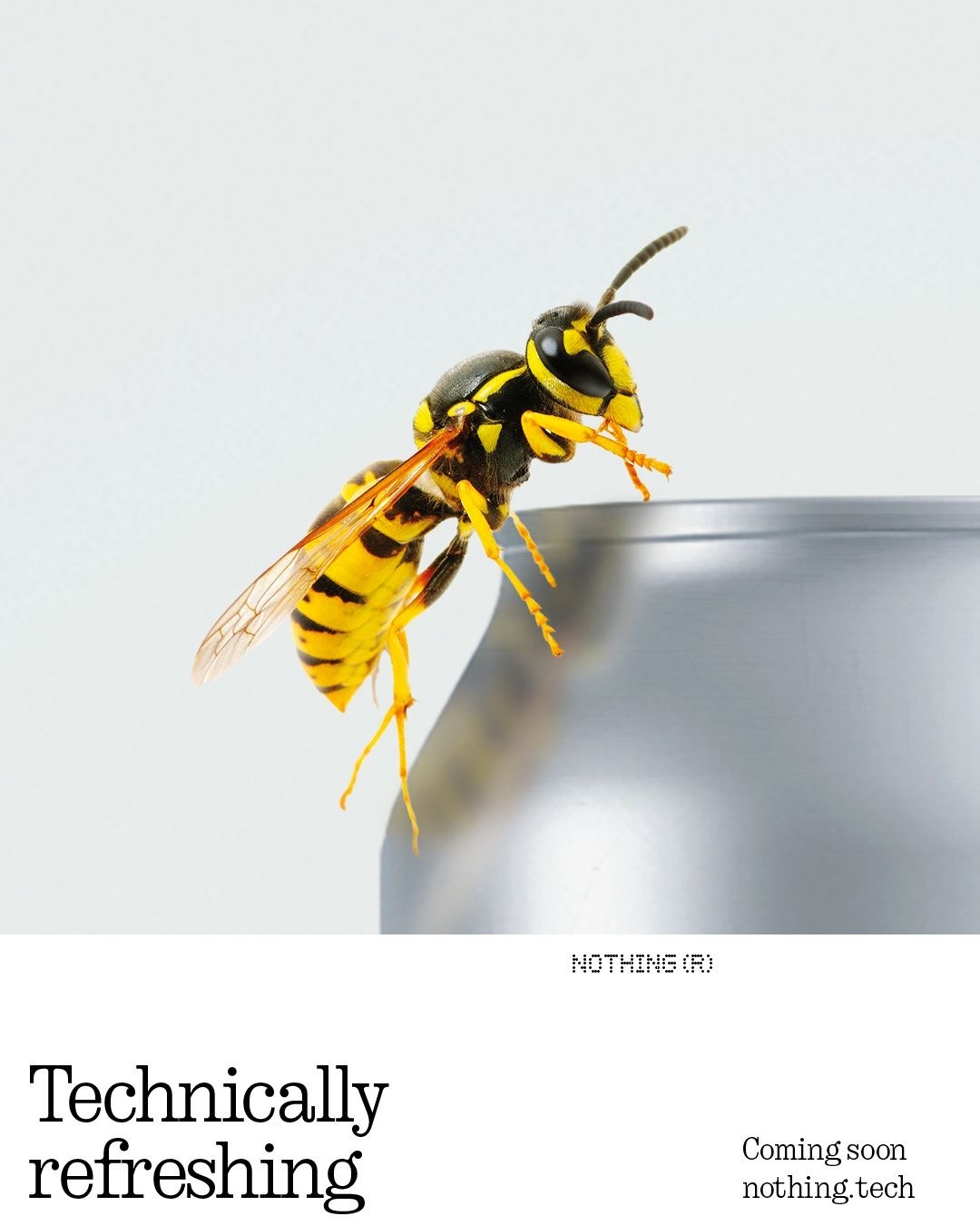 NOTHING  BEER / 2023
