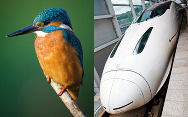 Biomimética: A aerodinâmica de trens de alta velocidade inspirada em pássaros velozes